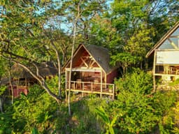 Everything you need to know about Ayahuasca Retreats