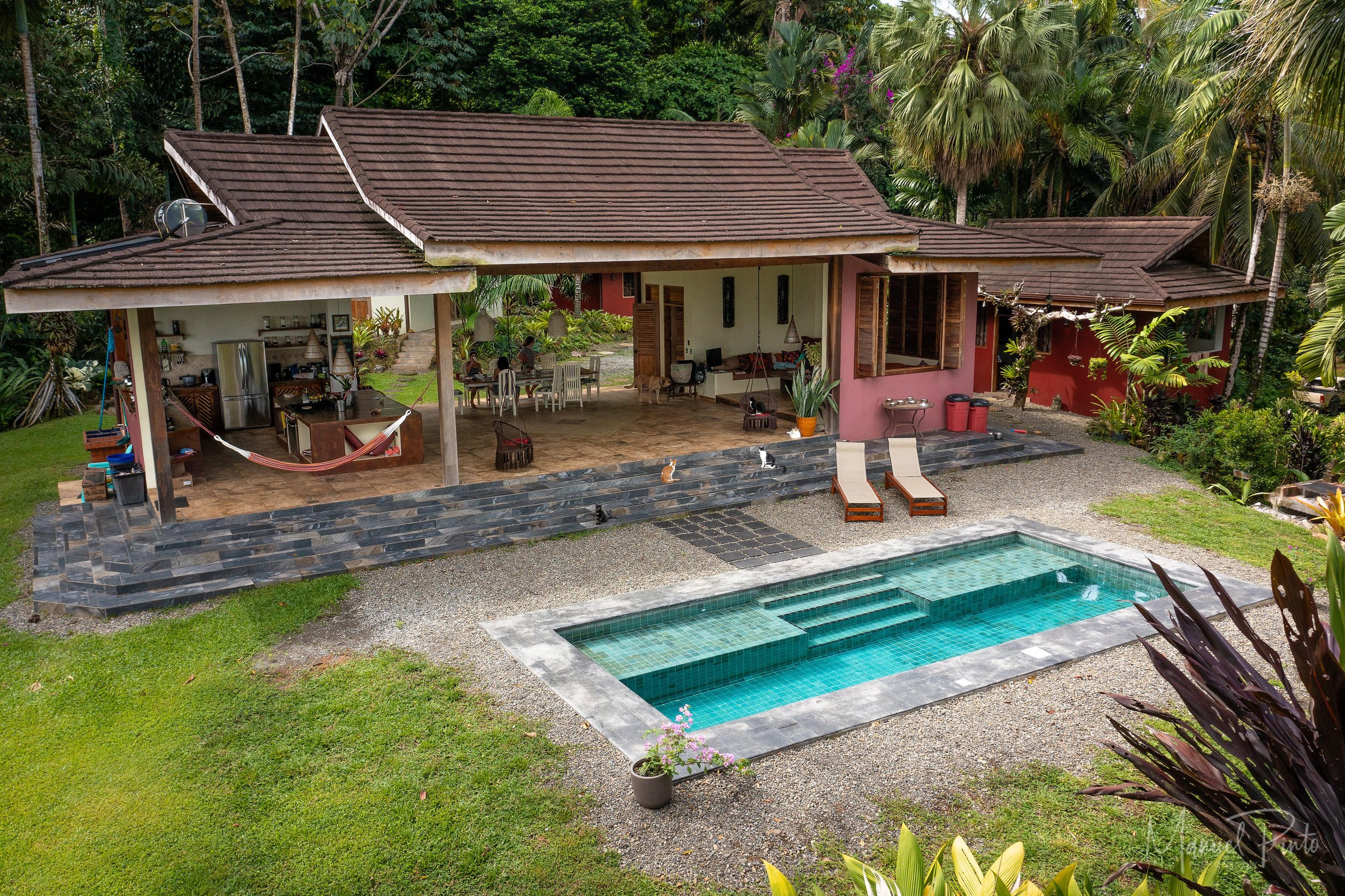 Everything you need to know about Ayahuasca Retreats